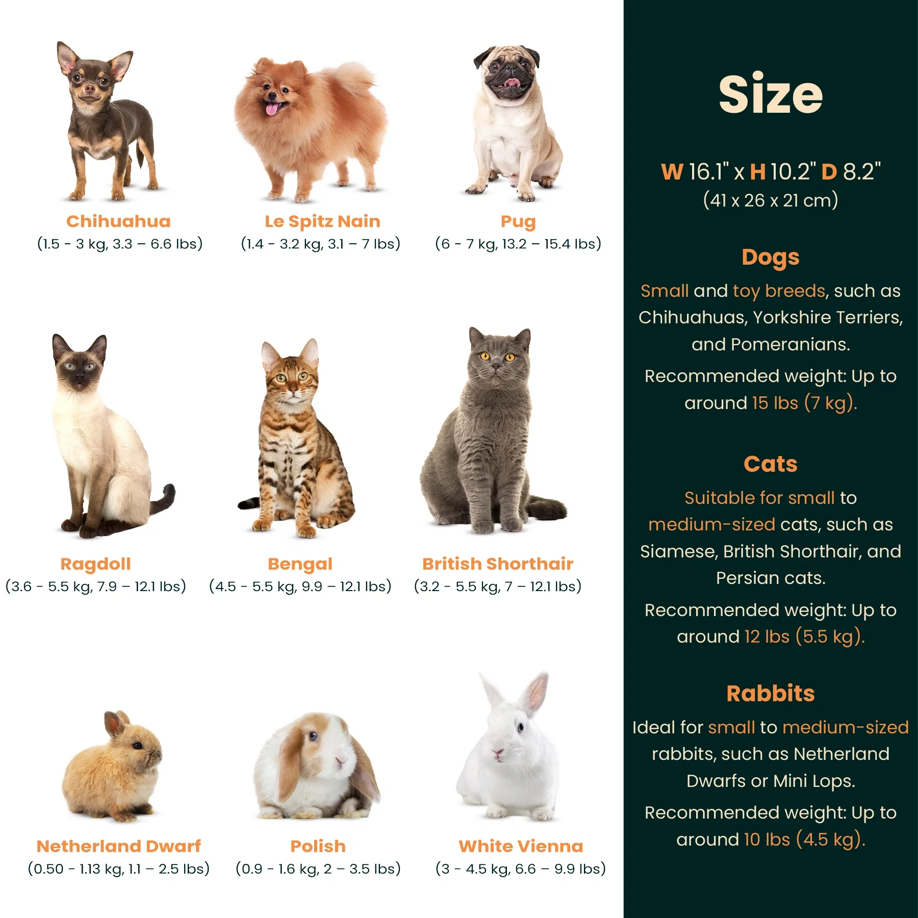 Pet Carrier Classic - Image 5