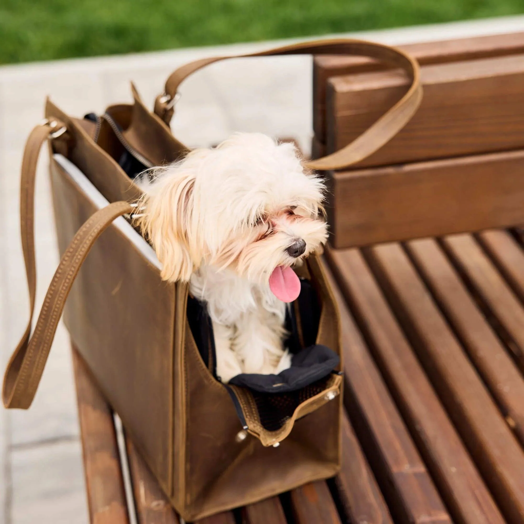 Dog Travel Bag - Image 11