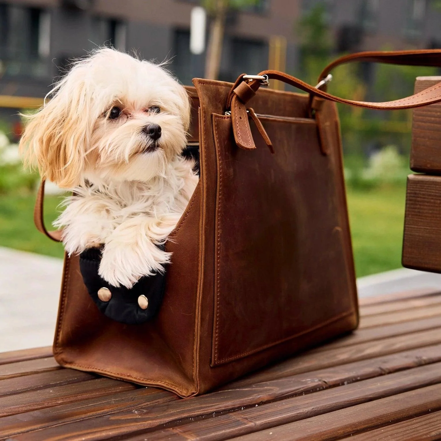 Dog Travel Bag - Image 13