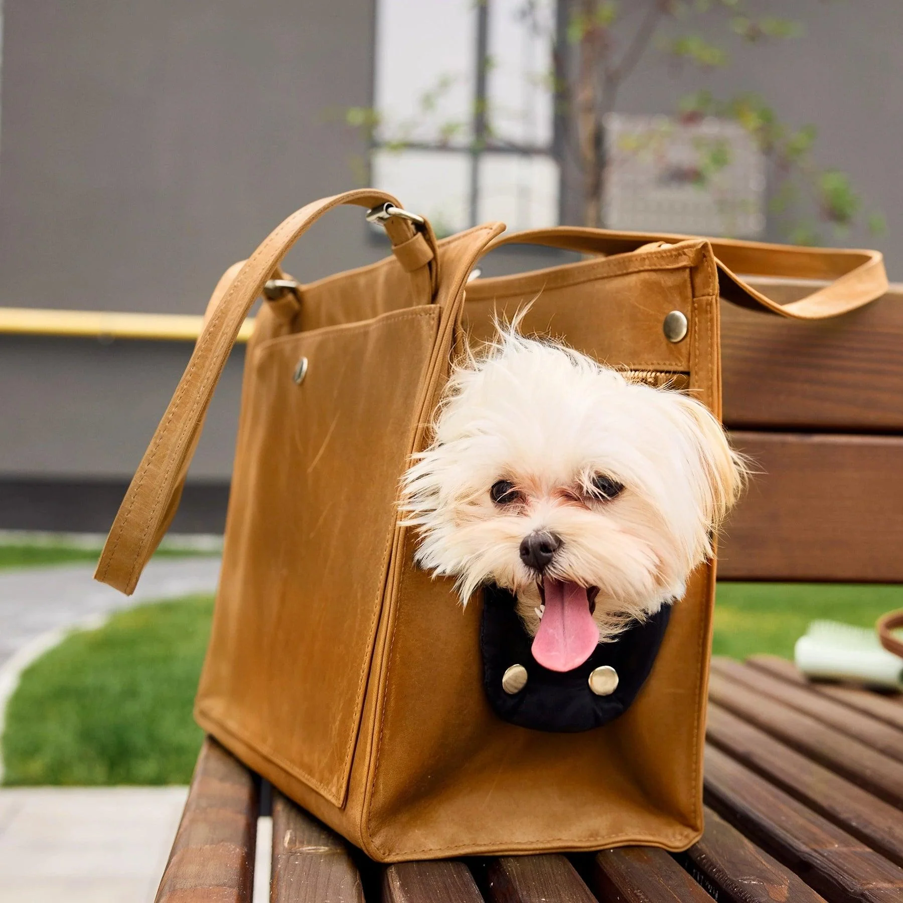 Dog Travel Bag - Image 14