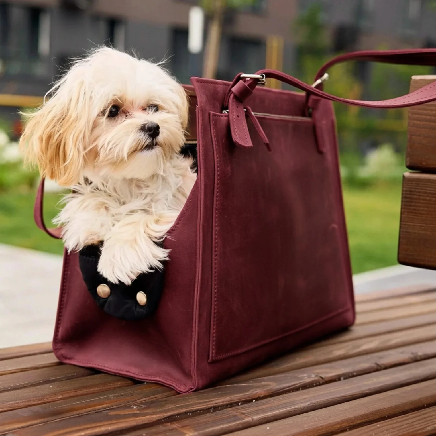 Dog Travel Bag - Image 29