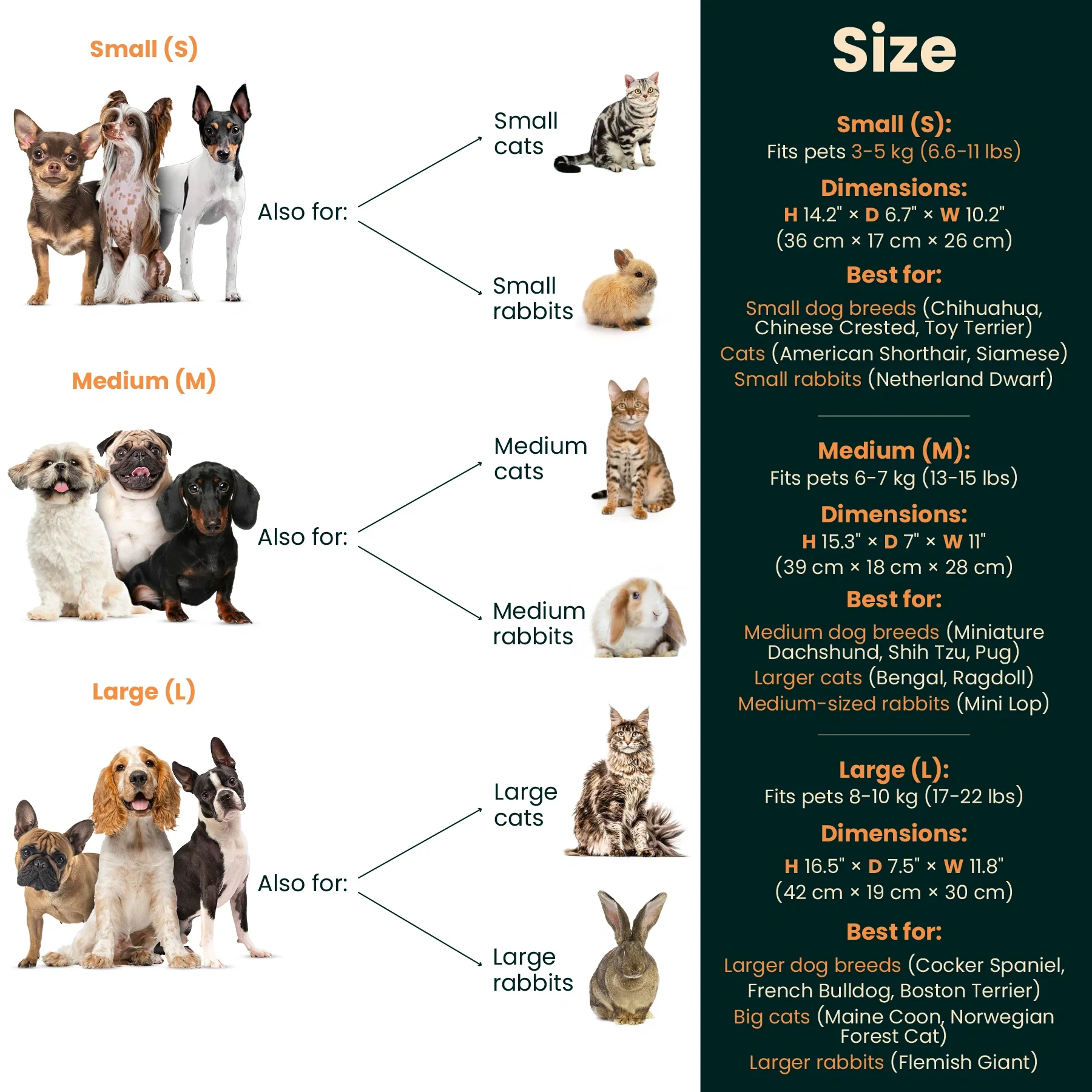 Dog Travel Bag - Image 6