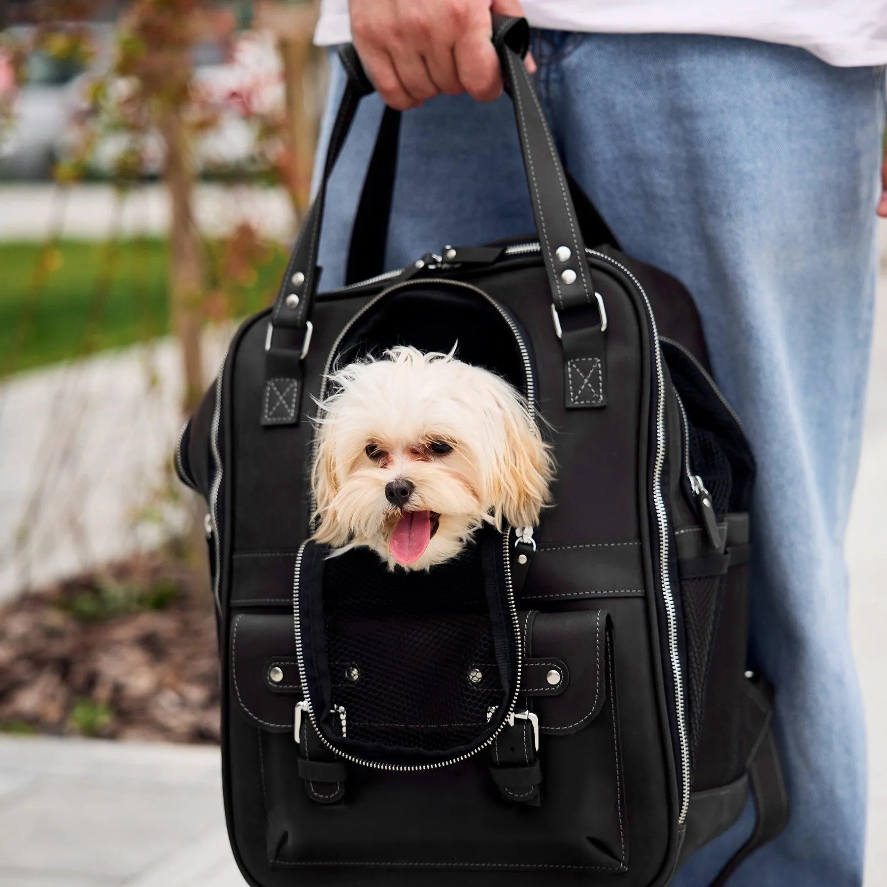 Leather Pet Backpack - Image 18